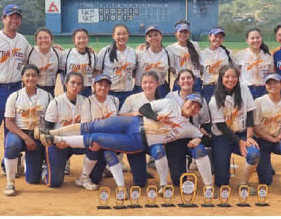 Campeonato Paranaense De Softbol Feminino Sub 11 – Sub 13 – Sub 16 E Sub 19