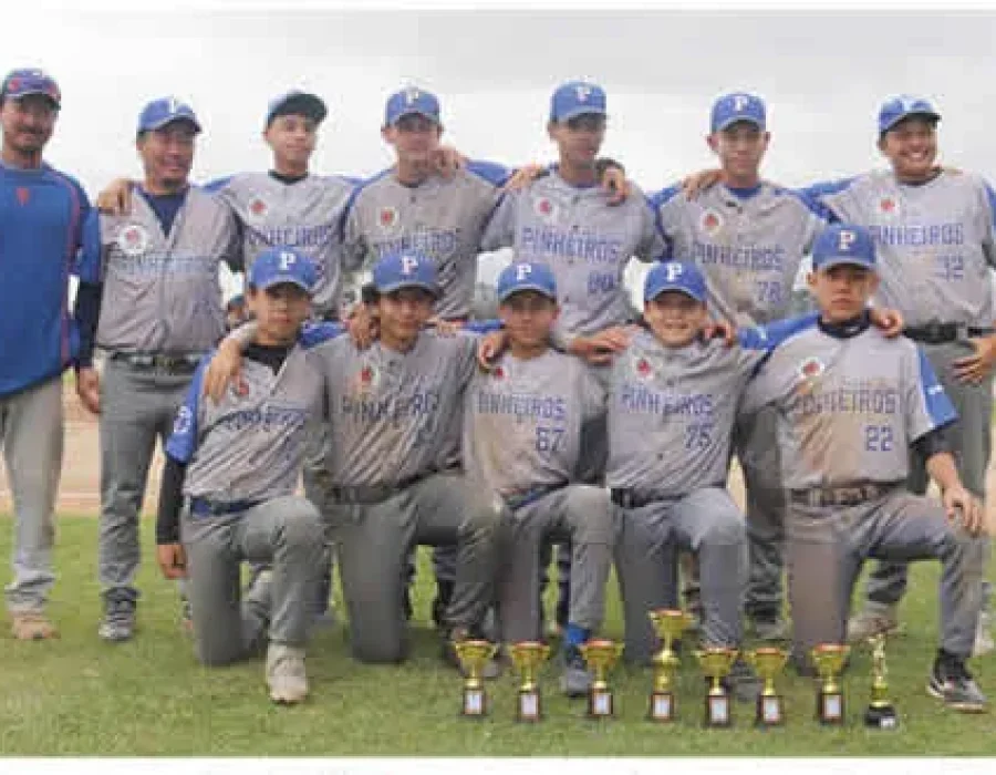 Xxvii Campeonato Paranaense De Beisebol Pré-Junior